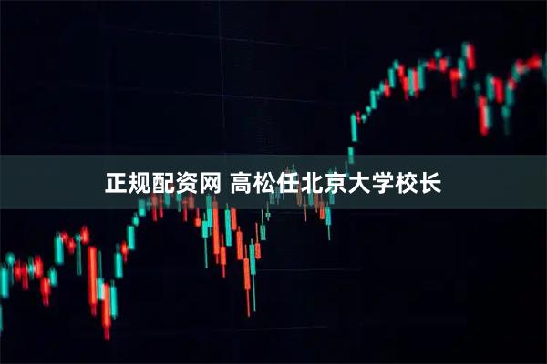 正规配资网 高松任北京大学校长